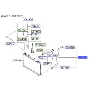 خرطوم ماء الرديتر سفلي