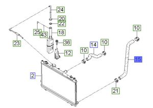 خرطوم ماء الرديتر سفلي