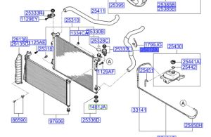 خرطوم ماء الرديتر سفلي