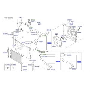 خرطوم رديتر ماء سفلي