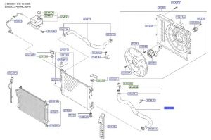 خرطوم رديتر ماء سفلي