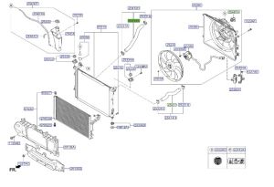 خرطوم رديتر ماء سفلي
