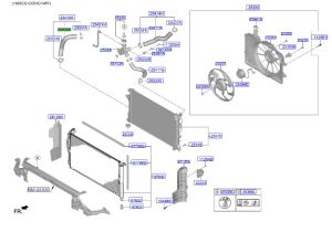 خرطوم رديتر ماء سفلي