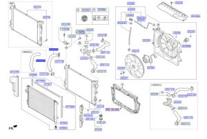 خرطوم رديتر ماء سفلي