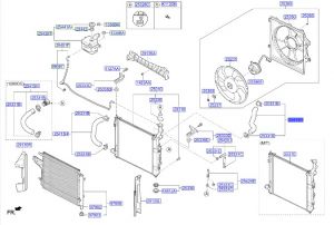 خرطوم ماء الرديتر علوي