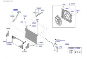 خرطوم رديتر ماء سفلي