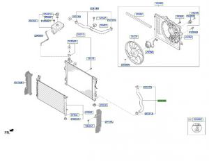 خرطوم رديتر ماء سفلي