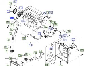 وجه مضخة الماء
