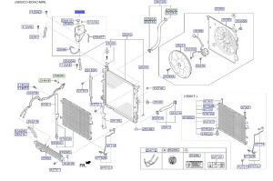 خرطوم و قربة ماء الرديتر