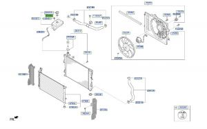 وجه غطاء قربة الماء