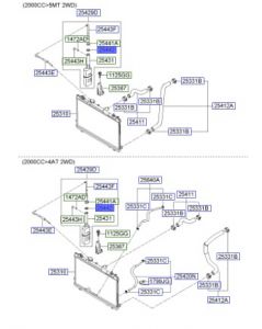 وجه غطاء قربة الماء