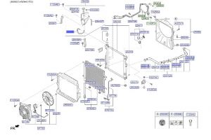 خرطوم قربة ماء