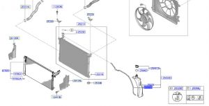 خرطوم ماء القربة