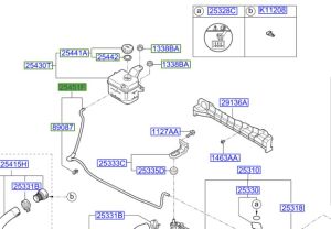 خرطوم ماء القربة