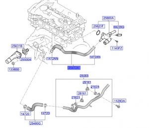 خرطوم ماء الرديتر