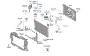 كلبس تثبيت الخرطوم