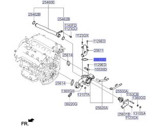 وجه كوع ماء