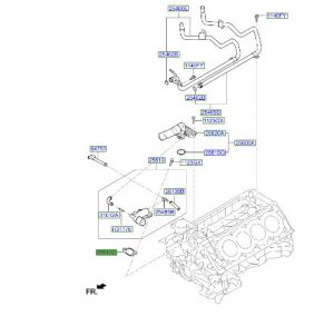 وجه كوع ماء