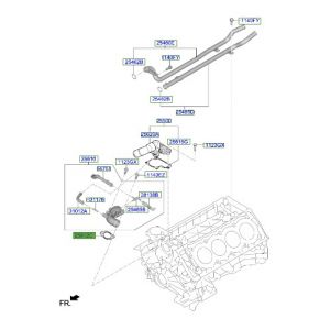 وجه كوع ماء