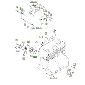 وجه جرم الثيرموستات