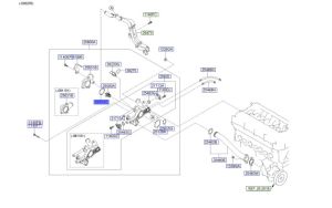 وجه كوع ماء