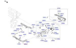 وجه كوع ماء