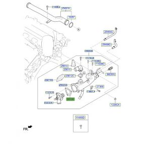 وجه كوع ماء