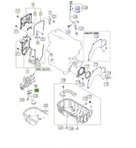 وجه شخال الزيت