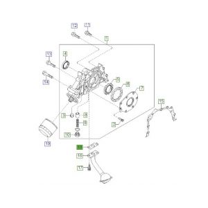 وجه شخال الزيت