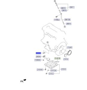 وجه شخال الزيت