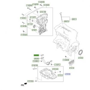 وجه شخال الزيت