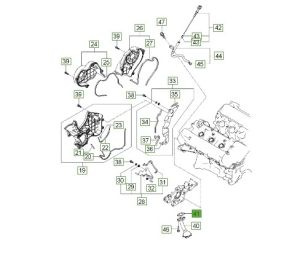 وجه شخال الزيت