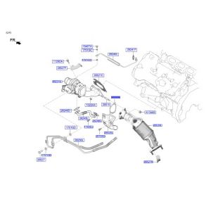 وجه دبة رصاص