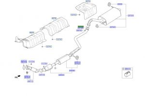 وجة ماصورة الشكمان