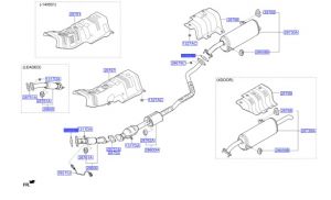 وجة ماصورة الشكمان