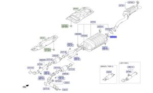 وجة ماصورة الشكمان
