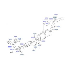 وجة ماصورة الشكمان