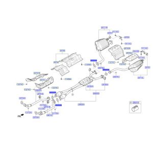 وجة ماصورة الشكمان