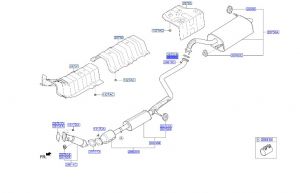 وجة ماصورة الشكمان