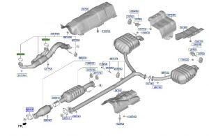 وجة ماصورة الشكمان