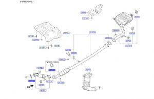 وجة ماصورة الشكمان