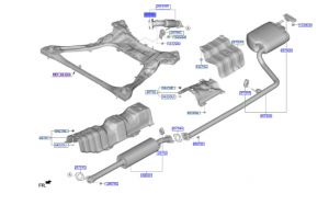 وجة ماصورة الشكمان