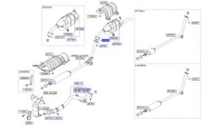 وجة ماصورة الشكمان