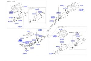 وجة ماصورة الشكمان
