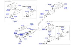 وجة ماصورة الشكمان