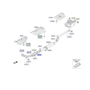 وجة ماصورة الشكمان