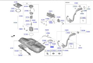 خرطوم مدخل الوقود