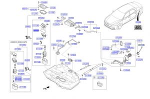 جلدة مضخة الوقود