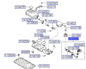 خرطوم قربة الهواء