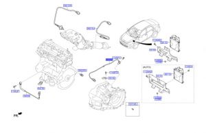 حساس الكرنك